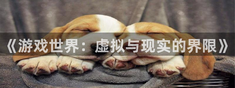 奇亿娱乐4招商：《游戏世界：虚拟与现实的界限》