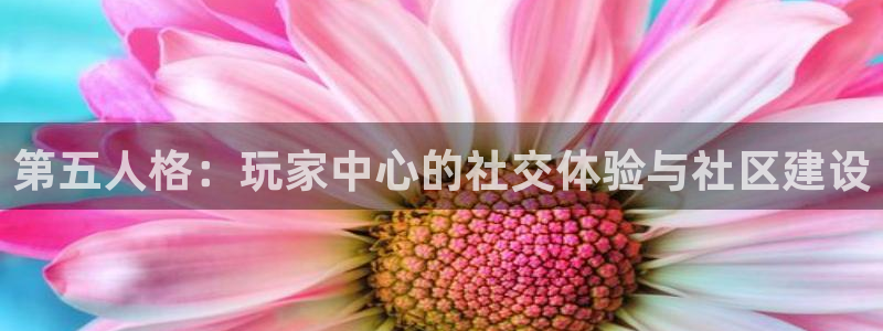 奇亿娱乐注册登录平台：第五人格：玩家中心的社交体验与社区建设