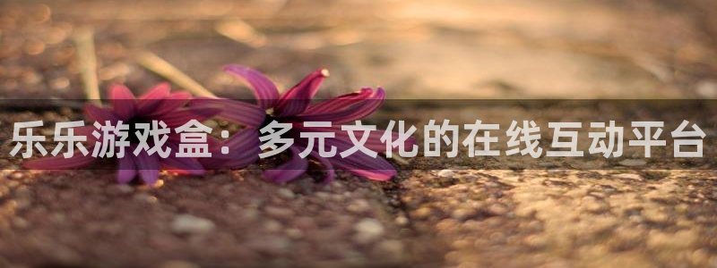 奇亿娱乐咨询：乐乐游戏盒：多元文化的在线互动平台