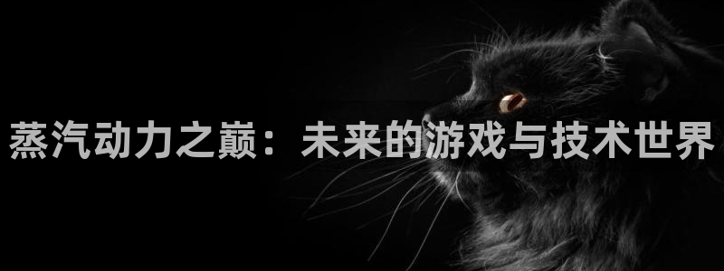 奇亿娱乐平台负责人：蒸汽动力之巅：未来的游戏与技术世界