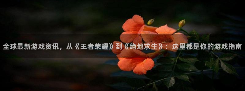 奇亿娱乐APP下载安装最新版本更新内容