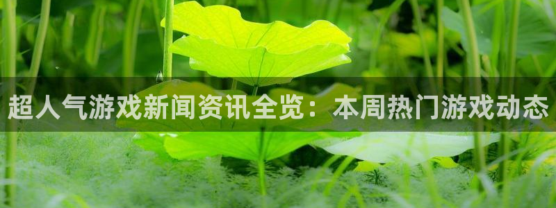 奇亿娱乐退款流程详解最新