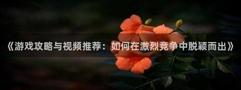 奇亿娱乐的5个步骤