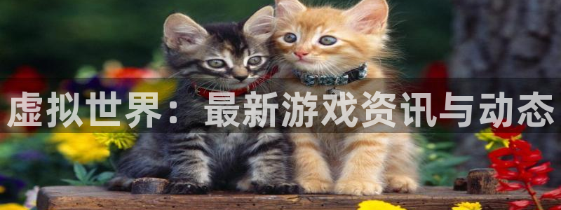奇亿娱乐怎么样