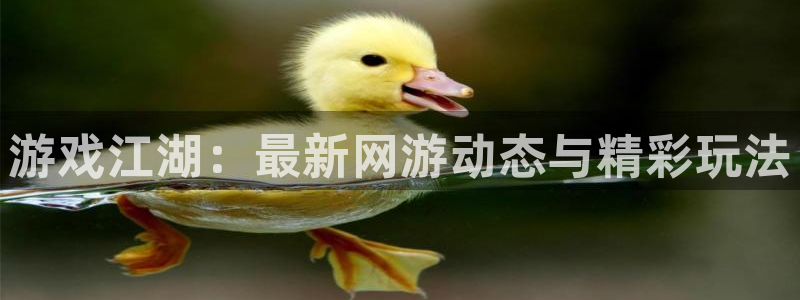 奇亿娱乐公司简介和历史背景介绍：游戏江湖：最新网游动态与精彩