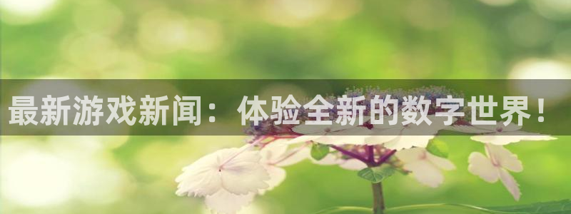 奇亿娱乐测速怎么样：最新游戏新闻：体验全新的数字世界！