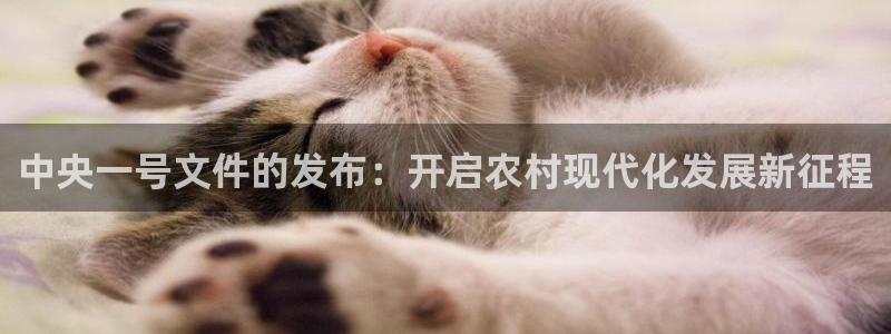 24直播网足球：中央一号文件的发布：开启农村现代化发展新征程