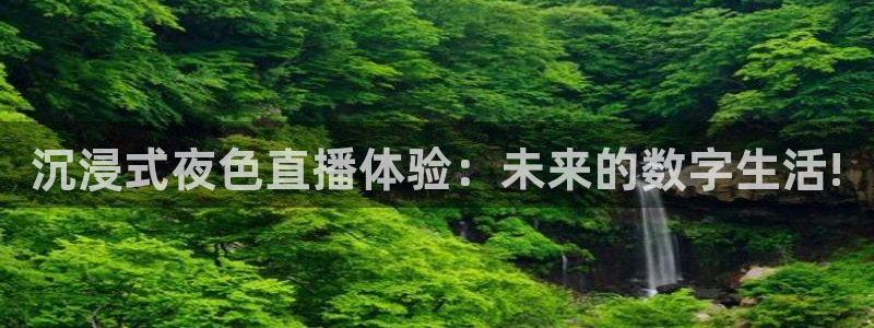 24直播免费足球直播视频：沉浸式夜色直播体验：未来的数字生活!