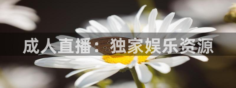 24直播网篮球：成人直播：独家娱乐资源
