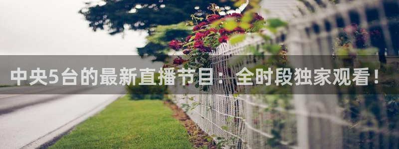 24直播网官网：中央5台的最新直播节目：全时段独家观看！